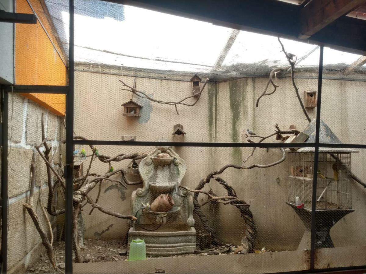 维拉·雷阿尔 Residencial Montanhes酒店 外观 照片